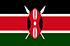 Panel d'étude de marché en ligne au Kenya