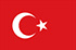 Panel d'étude de marché en ligne en Turquie