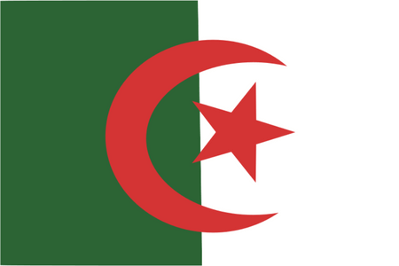 Panel de sondages en ligne en Algérie