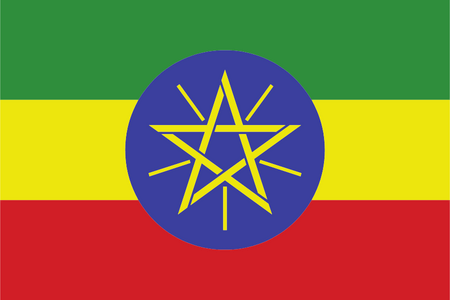 Panel d'étude de marché en ligne en Ethiopie