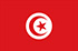 Panel d'étude de marché en ligne en Tunisie
