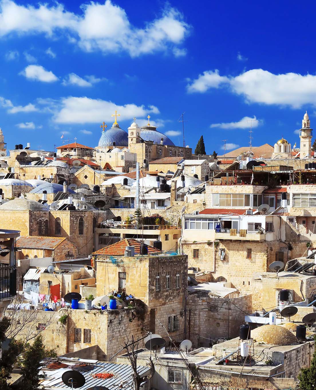 Palestine en un coup d'œil