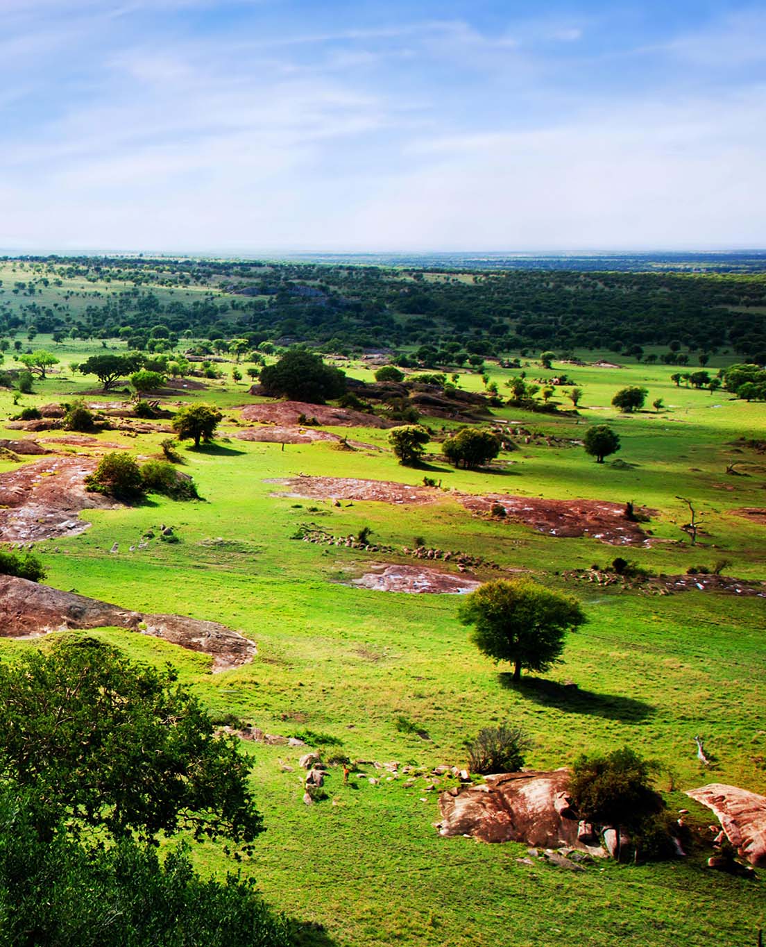 Tanzanie en un coup d'œil