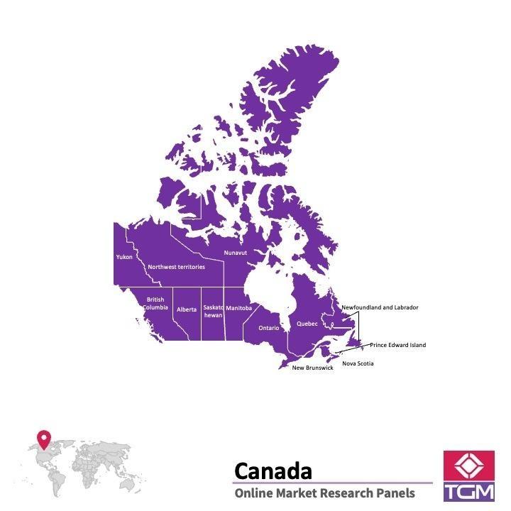 PANELS EN LIGNE AU CANADA |  Études de Marché au Canada