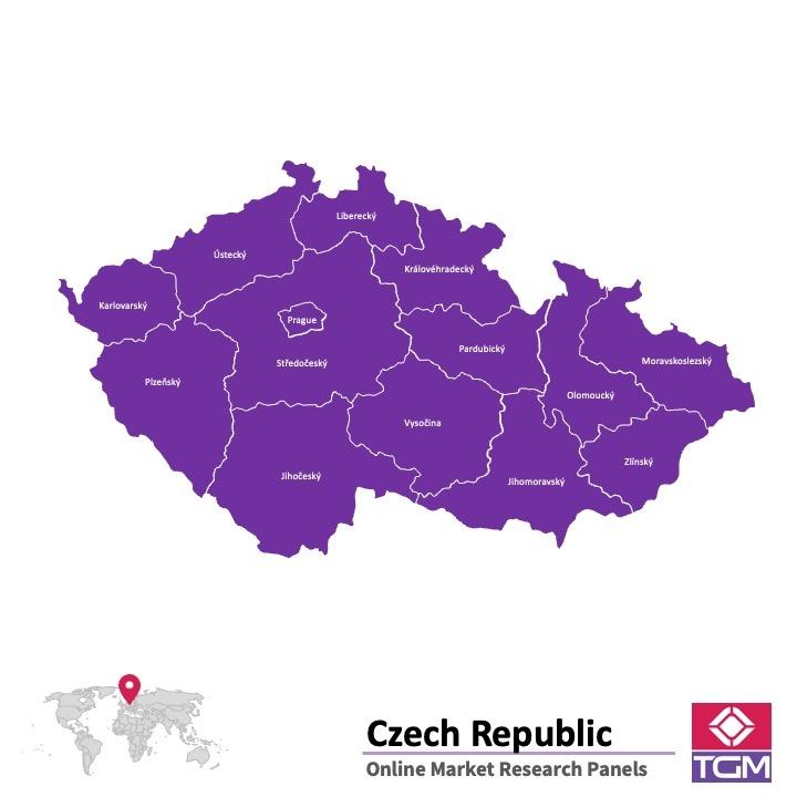 PANELS EN LIGNE EN RÉPUBLIQUE TCHÈQUE | Études de Marché en République tchèque
