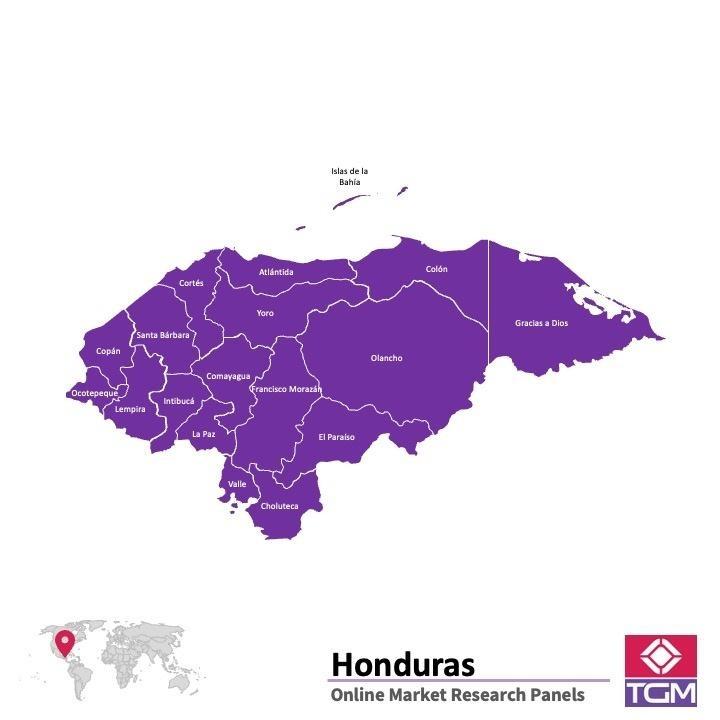 PANELS EN LIGNE AU HONDURAS | Études de Marché au Honduras