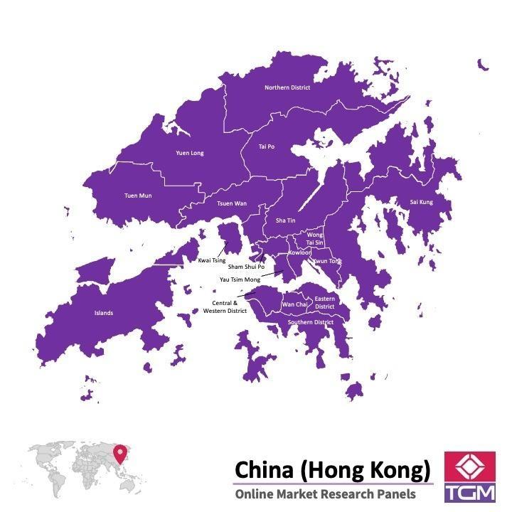 PANELS EN LIGNE À HONG KONG | Études de Marché à Hong Kong
