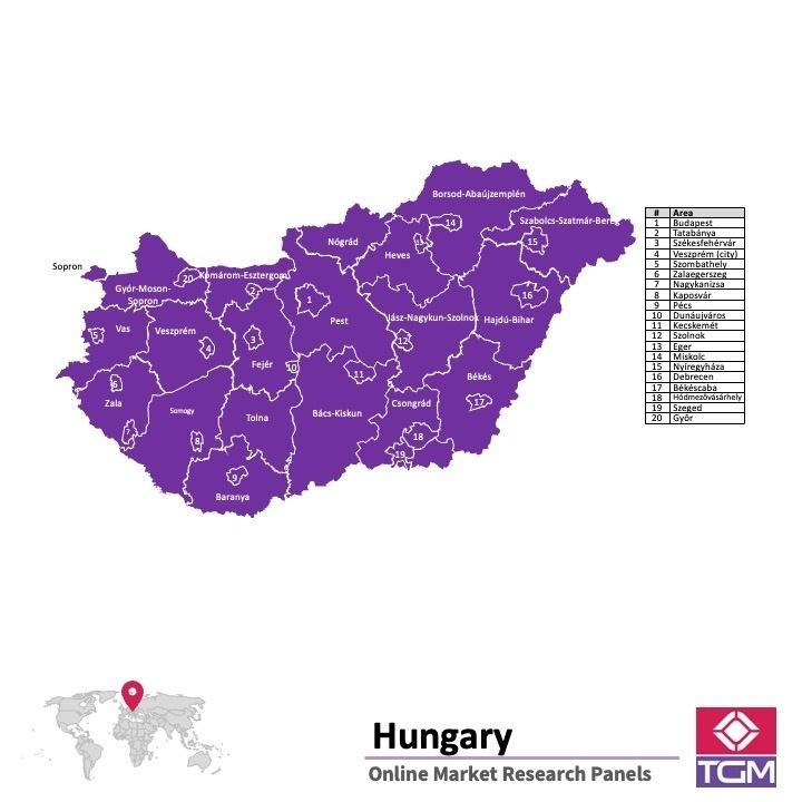 PANELS EN LIGNE EN HONGRIE | Études de Marché en Hongrie