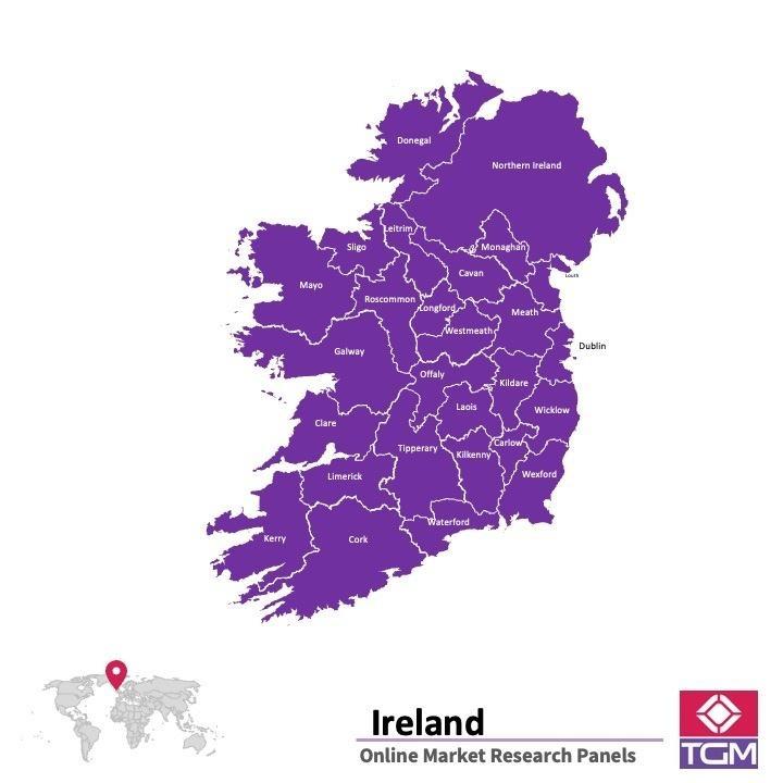 PANELS EN LIGNE EN IRLANDE | Études de Marché en Irlande