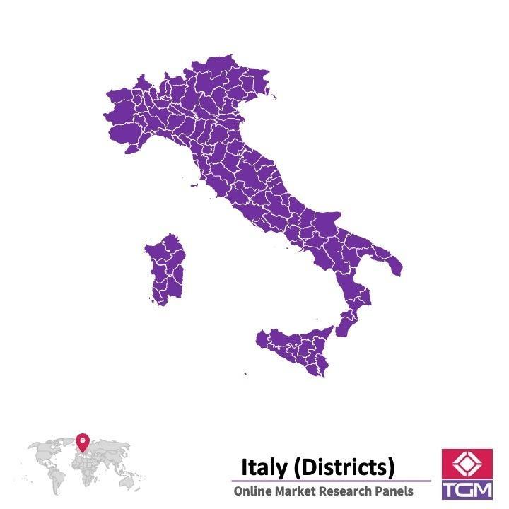 PANELS EN LIGNE EN ITALIE | Études de Marché en Italie