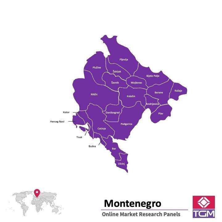 PANELS EN LIGNE AU MONTÉNÉGRO | Études de Marché au Monténégro