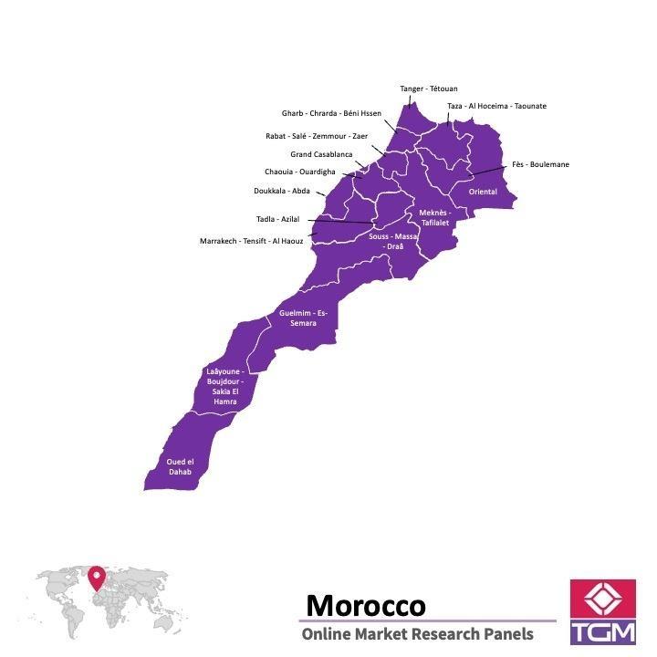 PANELS EN LIGNE AU MAROC |  Études de Marché au Maroc