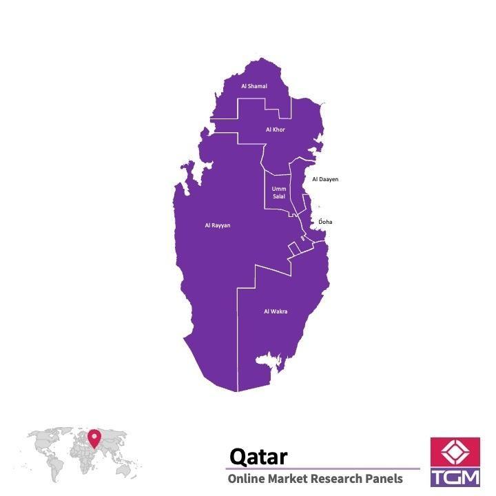 PANELS EN LIGNE AU QATAR | Études de Marché au Qatar