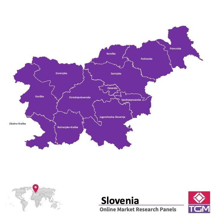 PANELS EN LIGNE EN SLOVÉNIE | Études de Marché en Slovénie