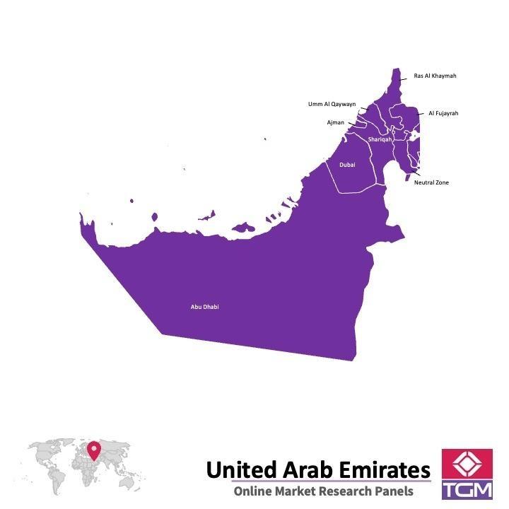PANELS EN LIGNE AUX EMIRATS ARABES UNIS (EAU) |  Études de Marché aux the EAU