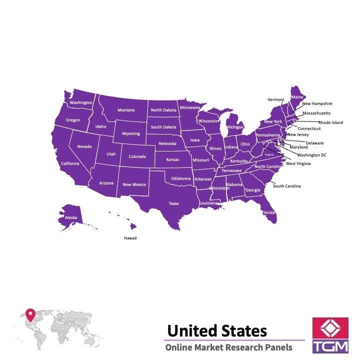 PANELS EN LIGNE AUX ÉTATS-UNIS (USA) |  Études de Marché aux États-Unis