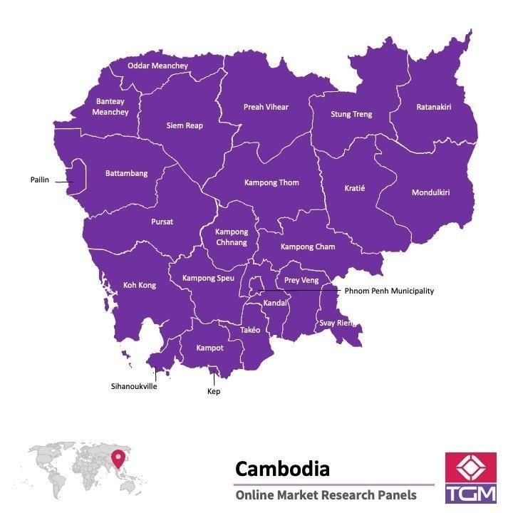 PANELS EN LIGNE AU CAMBODGE |  Études de Marché au Cambodge