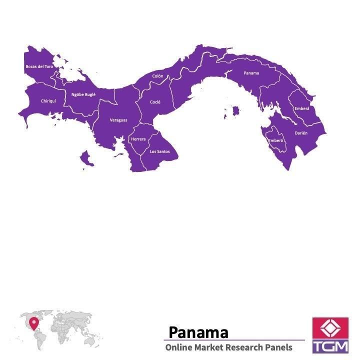 PANELS EN LIGNE AU PANAMA |  Études de Marché au Panama