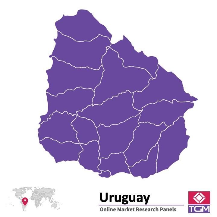 PANELS EN LIGNE EN URUGUAY |  Études de Marché en Uruguay