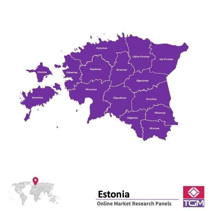 PANELS EN LIGNE EN ESTONIE |  Études de Marché en Estonie