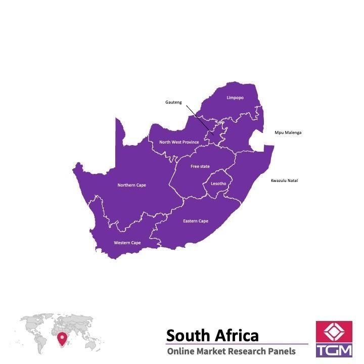 PANELS EN LIGNE EN AFRIQUE DU SUD |  Études de Marché en Afrique du sud