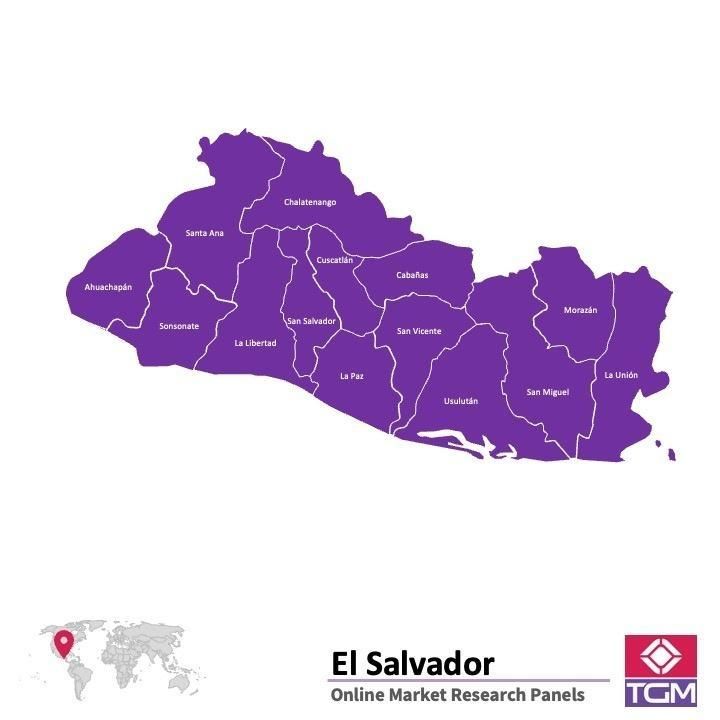 PANELS EN LIGNE AU SALVADOR |  Études de Marché au Salvador
