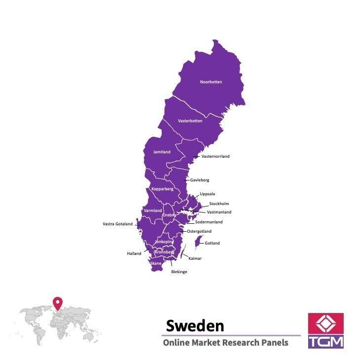 PANELS EN LIGNE EN SUÈDE |  Études de Marché en Suède