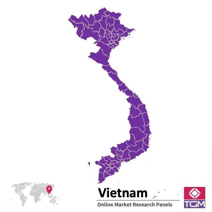 PANELS EN LIGNE AU VIETNAM |  Études de Marché au Vietnam