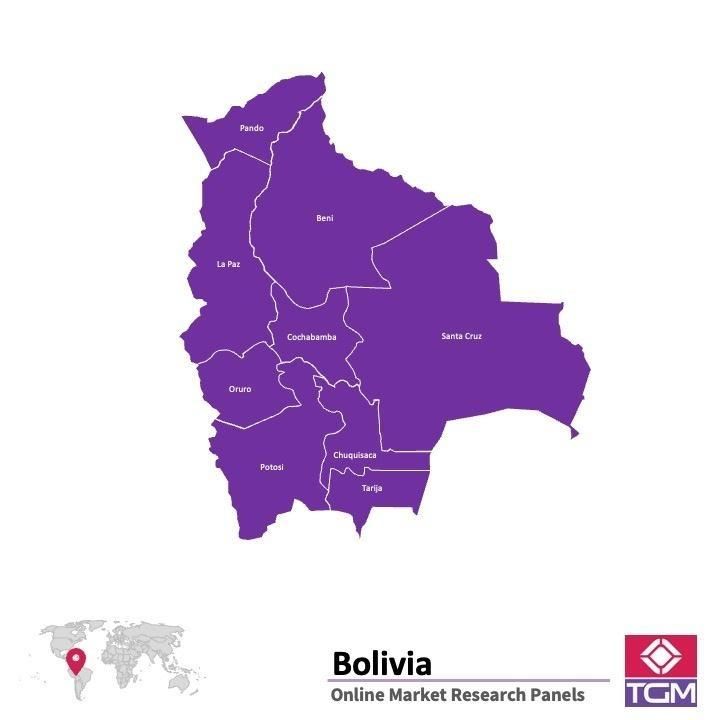 PANELS EN LIGNE EN BOLIVIE |  Études de Marché en Bolivie