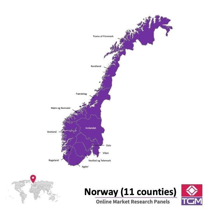 PANELS EN LIGNE EN NORVÈGE |  Études de Marché en Norvège