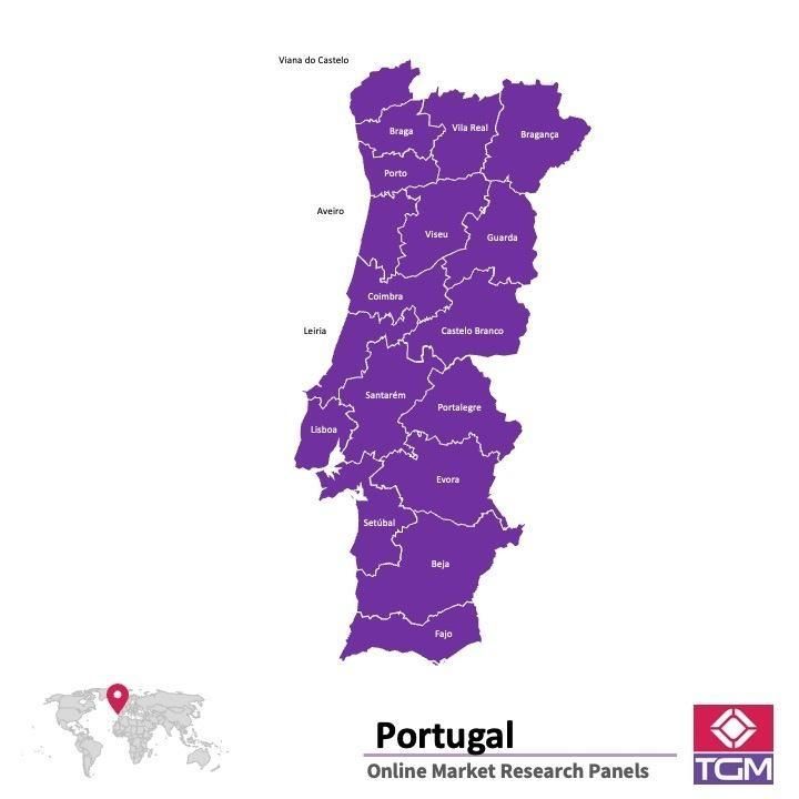 PANELS EN LIGNE AU PORTUGAL |  Études de Marché au Portugal
