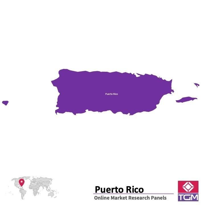 PANELS EN LIGNE À PORTO RICO |  Études de Marché à Porto Rico