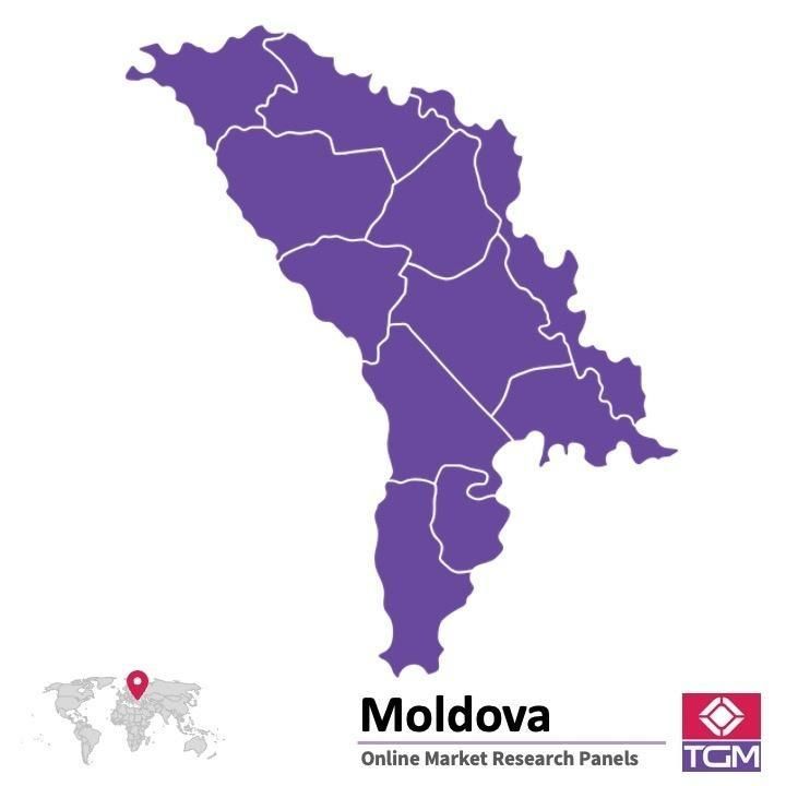 PANELS EN LIGNE EN MOLDAVIE |  Études de Marché en Moldavie