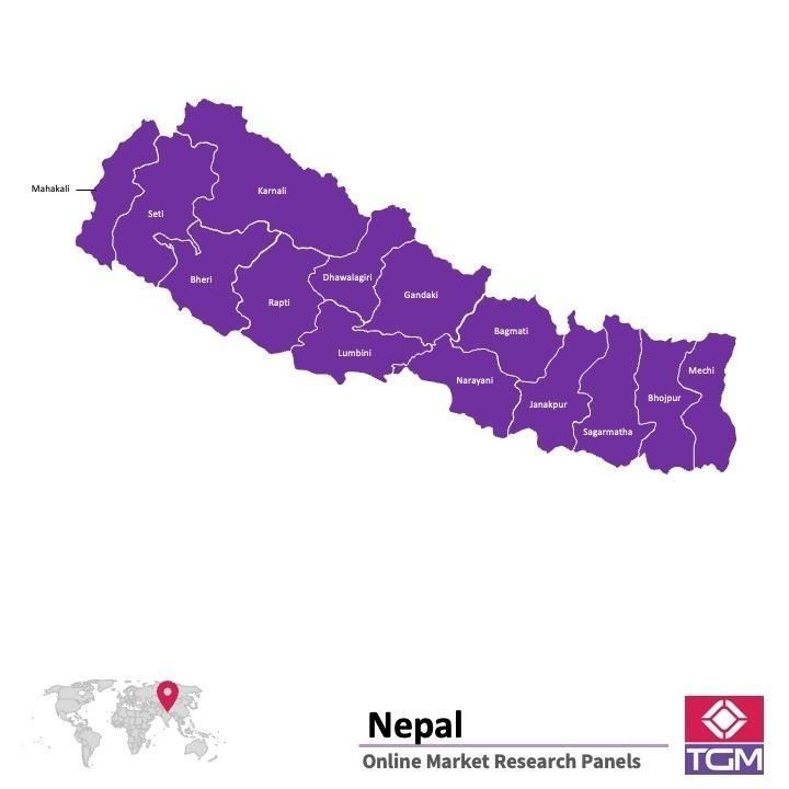 PANELS EN LIGNE AU NÉPAL |  Études de Marché au Népal