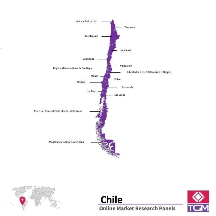 PANELS EN LIGNE AU CHILI |  Études de Marché au Chili