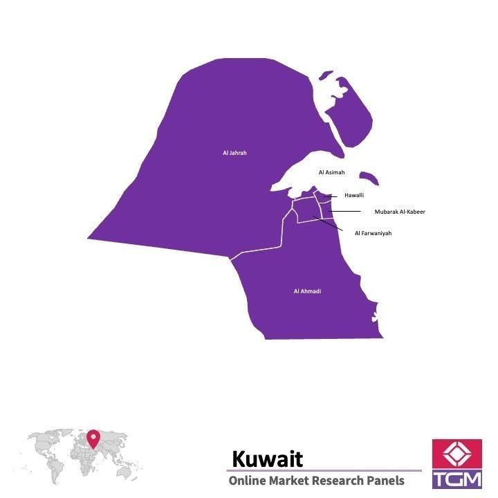 PANELS EN LIGNE AU KOWEÏT |  Études de Marché au Koweït