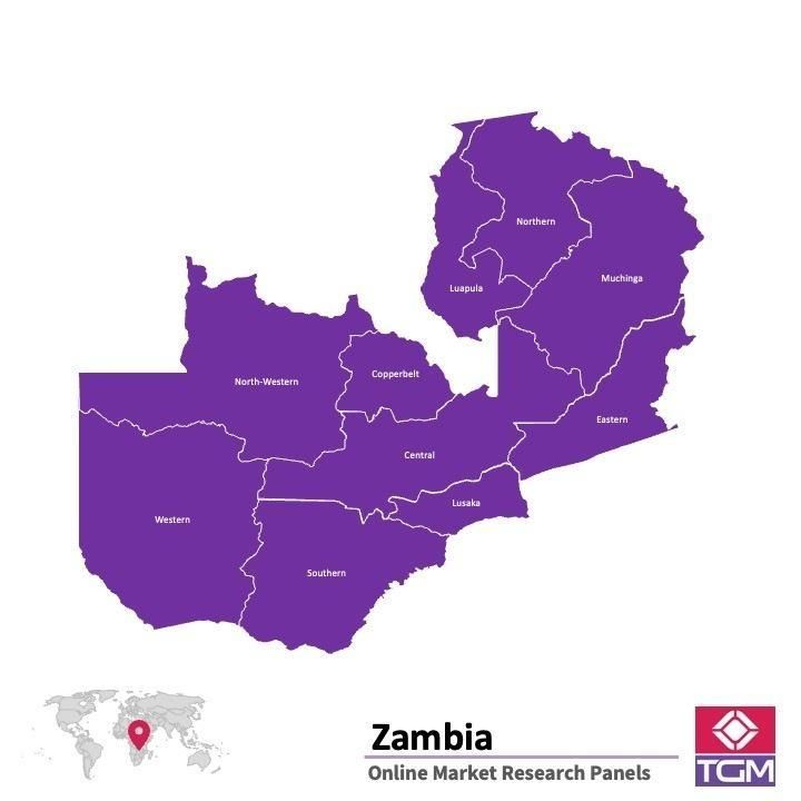 PANELS EN LIGNE EN ZAMBIE |  Études de Marché en Zambie