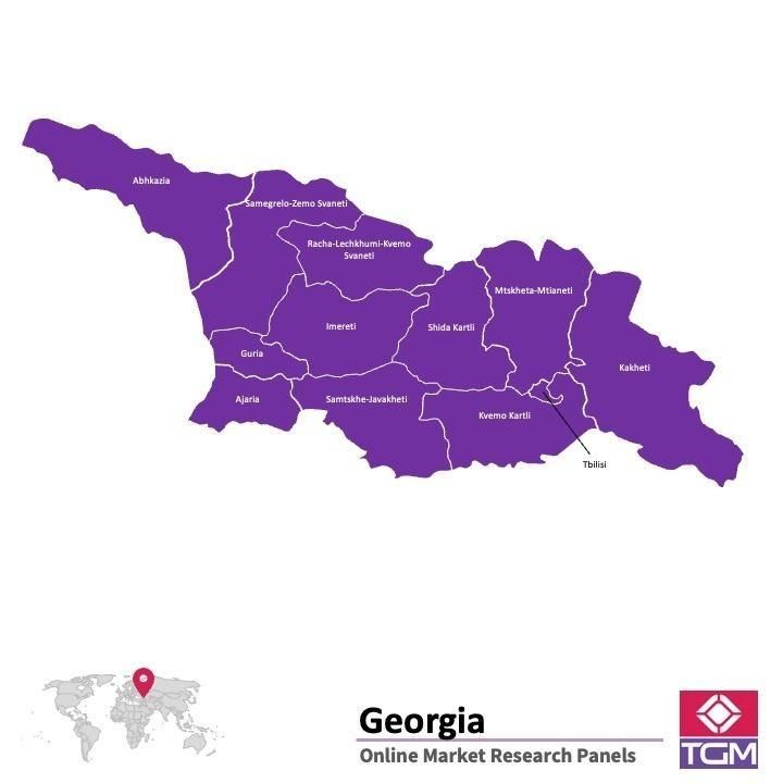 PANELS EN LIGNE EN GÉORGIE |  Études de Marché en Géorgie