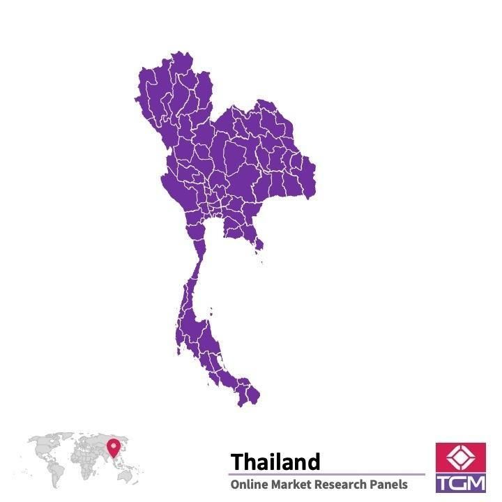 PANELS EN LIGNE EN THAÏLANDE |  Études de Marché en Thaïlande