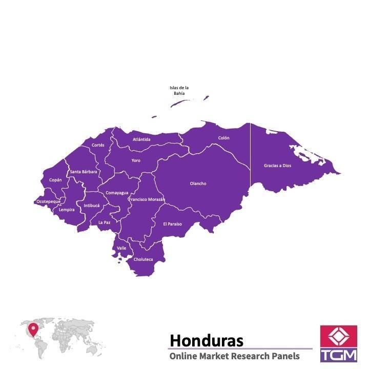 PANELS EN LIGNE AU HONDURAS |  Études de Marché au Honduras