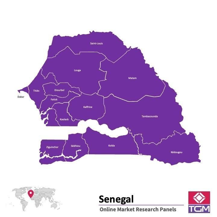 PANELS EN LIGNE AU SÉNÉGAL |  Études de Marché au Sénégal