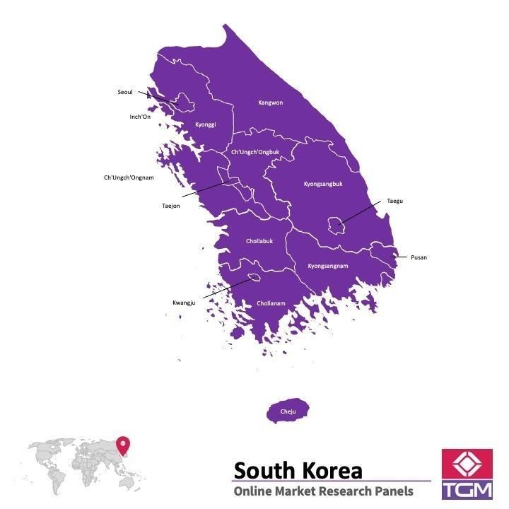 PANELS EN LIGNE EN CORÉE DU SUD |  Études de Marché en Corée du Sud