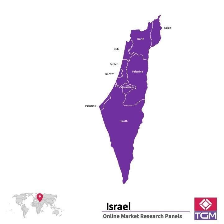 PANELS EN LIGNE EN ISRAËL |  Études de Marché en Israël