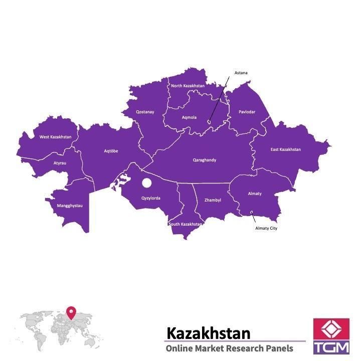 PANELS EN LIGNE AU KAZAKHSTAN |  Études de Marché au Kazakhstan