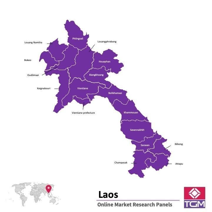 PANELS EN LIGNE AU LAOS |  Études de Marché au Laos