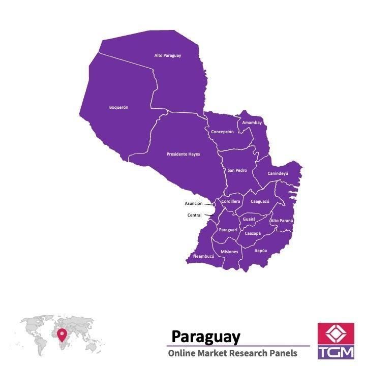 PANELS EN LIGNE AU PARAGUAY |  Études de Marché au Paraguay