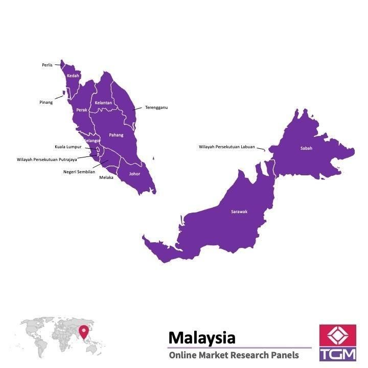 PANELS EN LIGNE EN MALAISIE |  Études de Marché en Malaisie