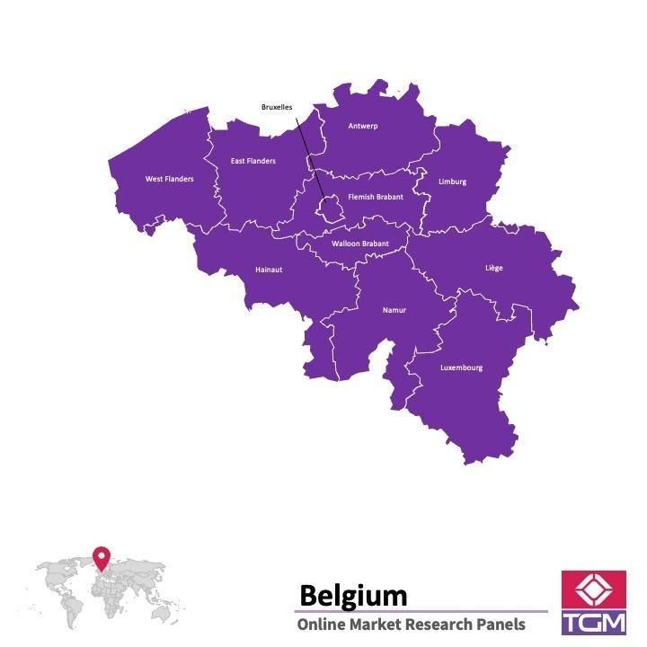 PANELS EN LIGNE EN BELGIQUE |  Études de Marché en Belgique