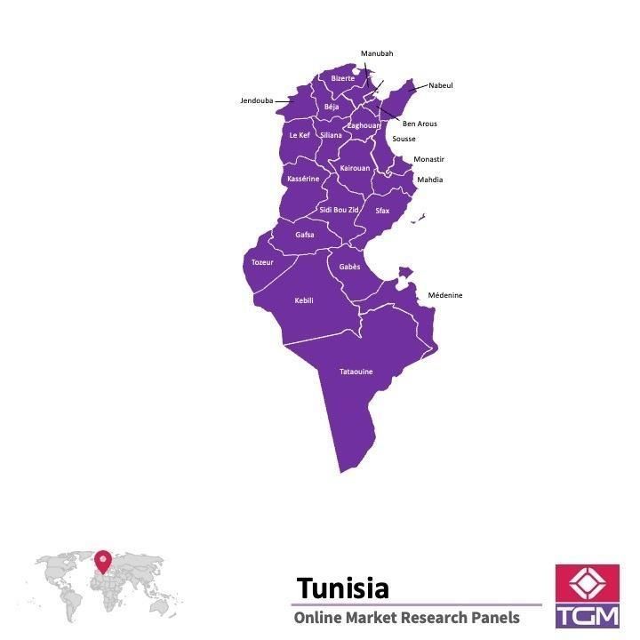 PANELS EN LIGNE EN TUNISIE |  Études de Marché en Tunisie