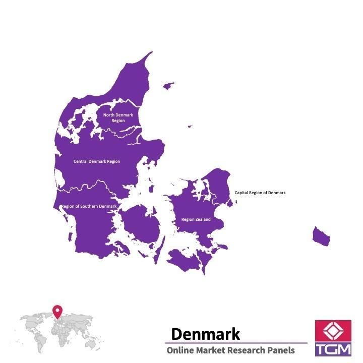 PANELS EN LIGNE AU DANEMARK |  Études de Marché au Danemark